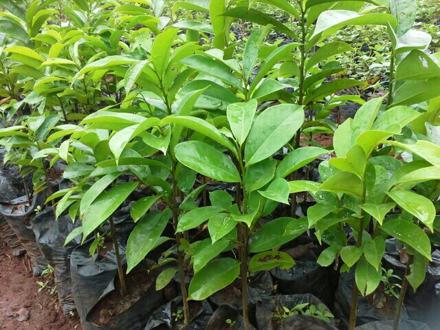 tossimecompany tossimecompany