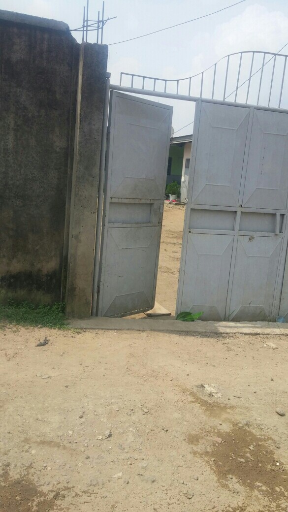 justineakpassi91 justineakpassi91