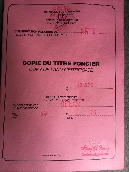 zinccommunity51 zinccommunity51