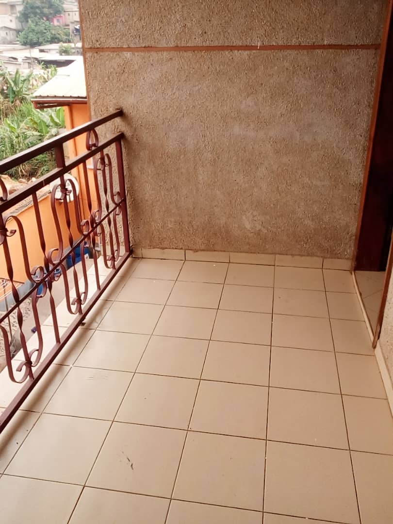 arielobrou2014 arielobrou2014