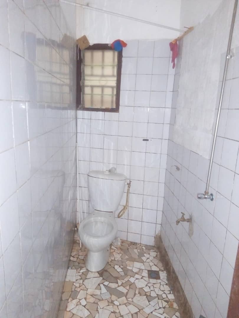 papisdiopdup papisdiopdup