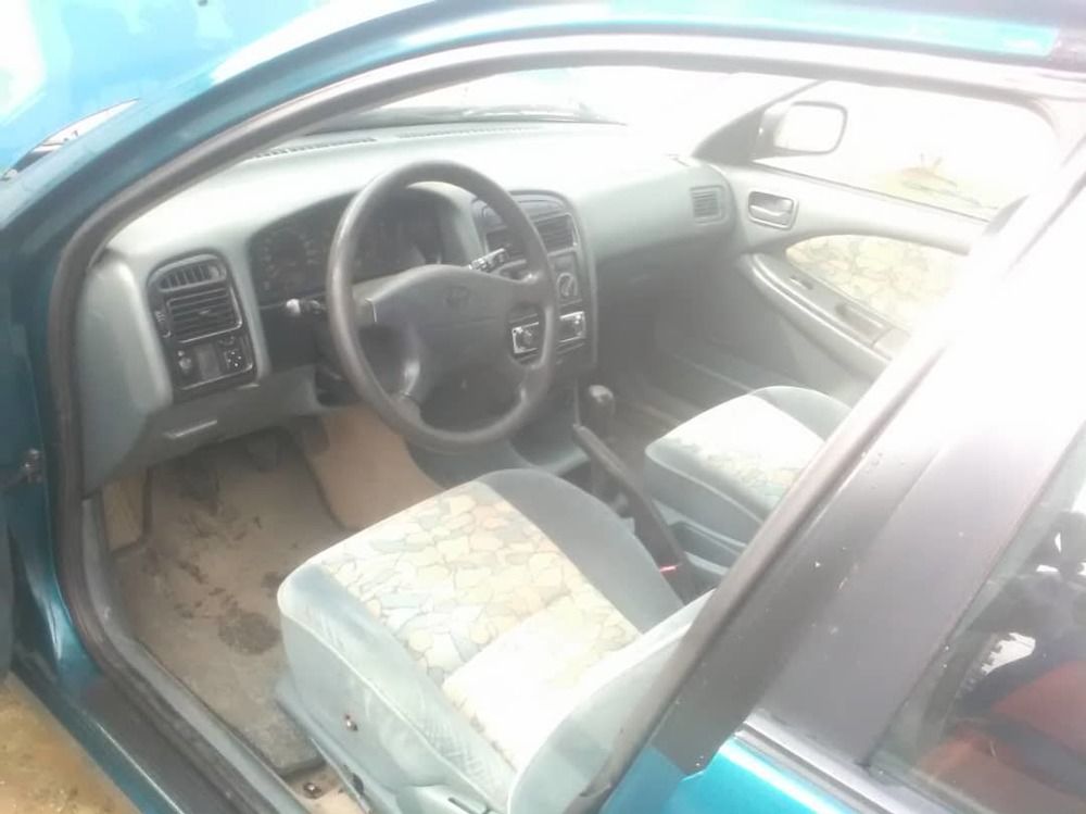 les_volailles_de_saly