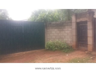 annagaromuald annagaromuald