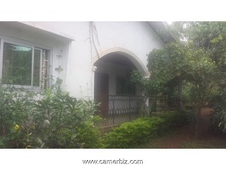 youssef_mikari youssef_mikari