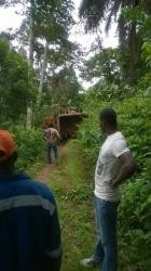 liberomarmiroli01 liberomarmiroli01