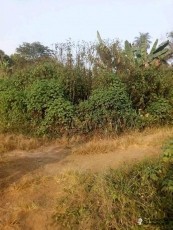 brindannangaregine brindannangaregine