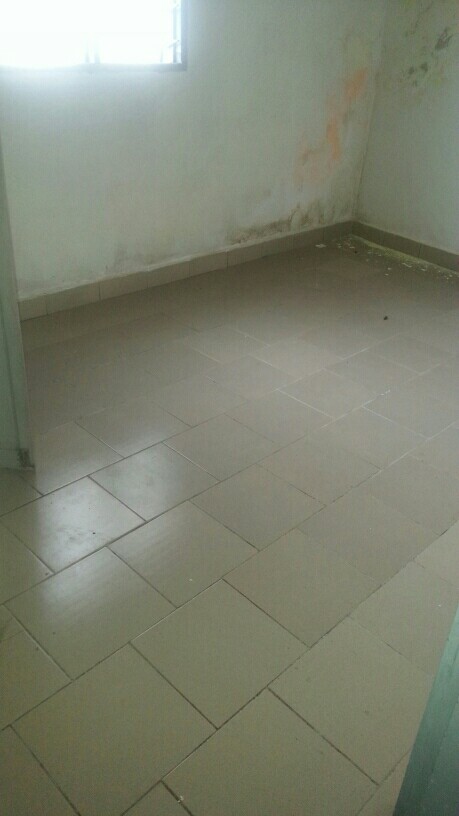 thebicyclesdepot thebicyclesdepot