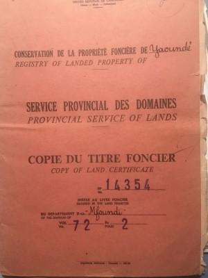 dalexmultiservices dalexmultiservices