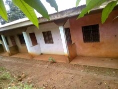 djenebaguiro djenebaguiro