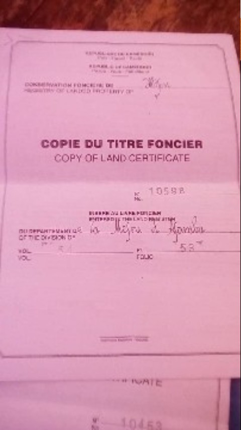 dhounye40 dhounye40