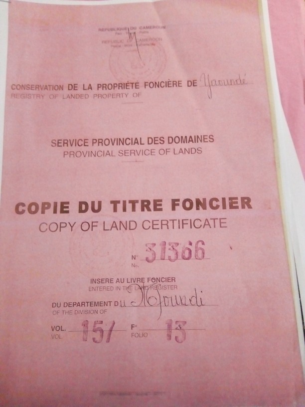 helphome237 helphome237