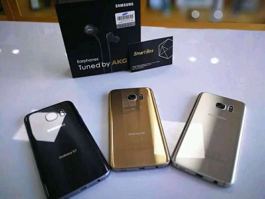 dikongue_diana2018 dikongue_diana2018