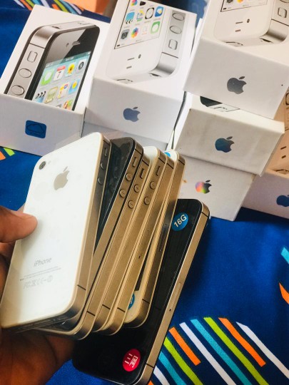 sarrwilliamcheick2009