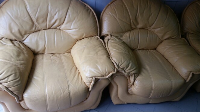 noeloyeyode noeloyeyode