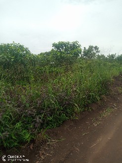 mahrezdieng45 mahrezdieng45