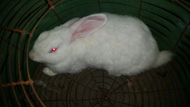 ziaddargham10 ziaddargham10