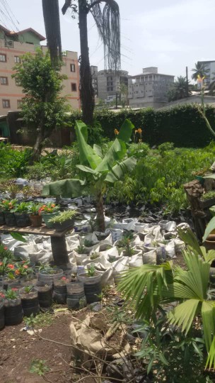 marined_amour marined_amour