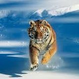 williamtabeth1 williamtabeth1