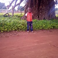 1516343432159256 1516343432159256