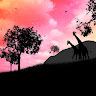 ali_aana109 ali_aana109